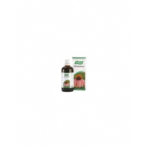 ECHINAFORCE 100 ML VOGEL